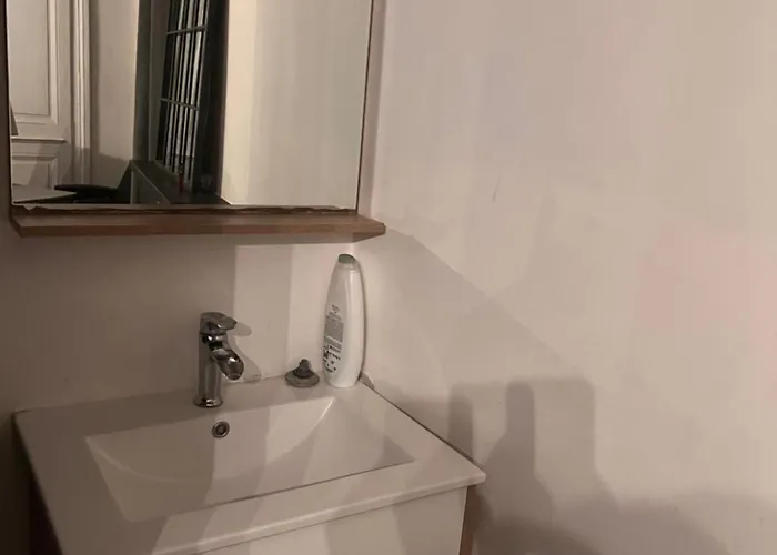 2- Le Chene Bleu Apartment Poitiers